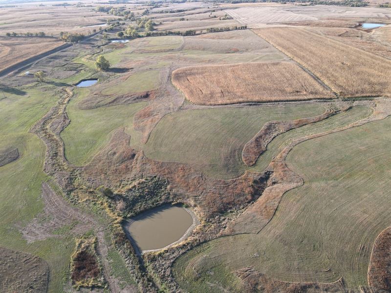 Jewell County Farm and Ranch : Burr Oak : Jewell County : Kansas