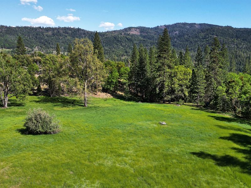 Tomahawk Meadows : Long Barn : Tuolumne County : California