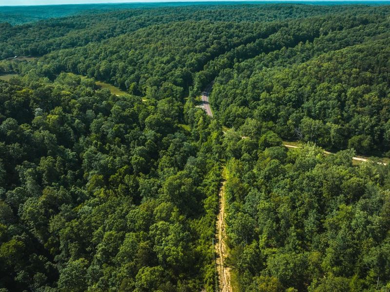 Washington Woodlands : Sullivan : Washington County : Missouri