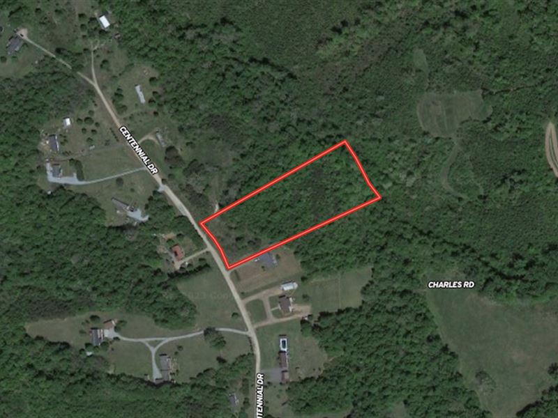 4 Acres of Reside : Yanceyville : Caswell County : North Carolina