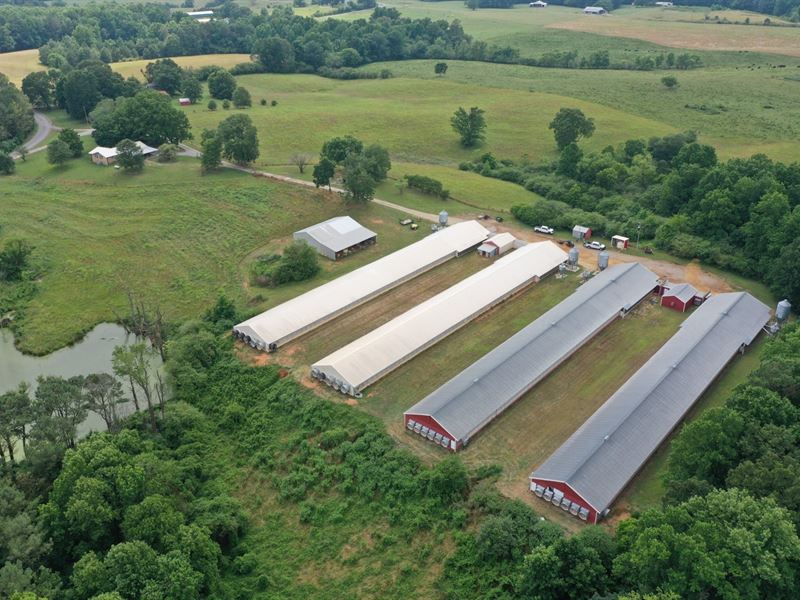 Cobbs Breeder Farm : Cullman : Cullman County : Alabama
