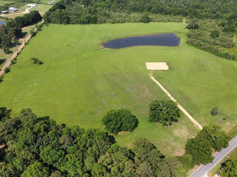34.9 Acres Lincoln County, MS Pastu : Bogue Chitto : Lincoln County : Mississippi
