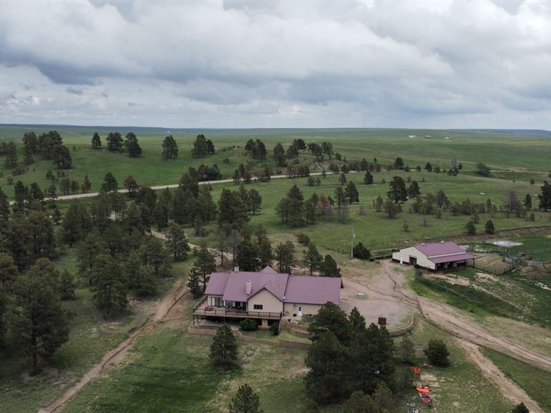 Rafter 4J Ranch : Ramah : Elbert County : Colorado