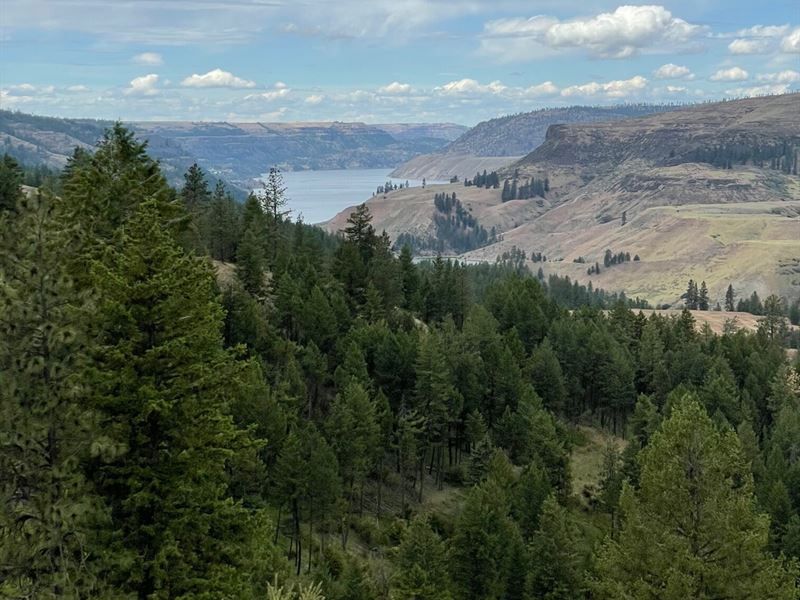 Hawk Creek 160 : Davenport : Lincoln County : Washington