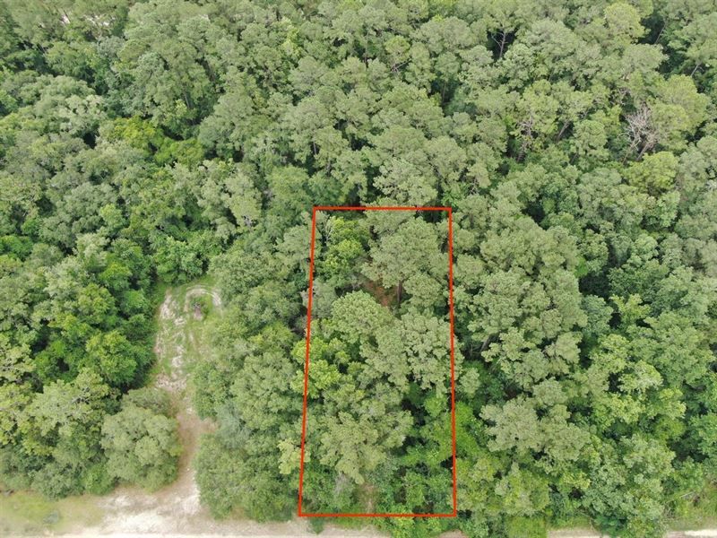 Beautiful Partially Cleared Half Ac : Lee : Madison County : Florida
