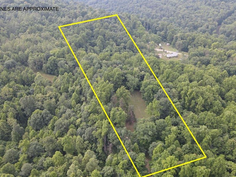 Calf Creek Rd, 12 Acres, Pleasant : Saint Marys : Pleasants County : West Virginia