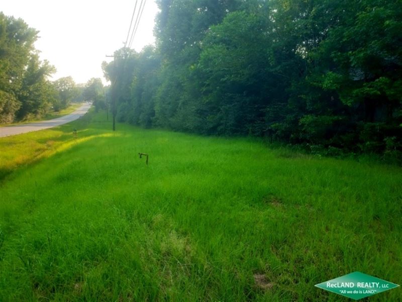 21.5 Ac, Timberland for Home Site : Ruston : Lincoln Parish : Louisiana