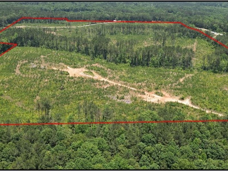 87.1 Acres in Neshoba County in Phi : Philadelphia : Neshoba County : Mississippi