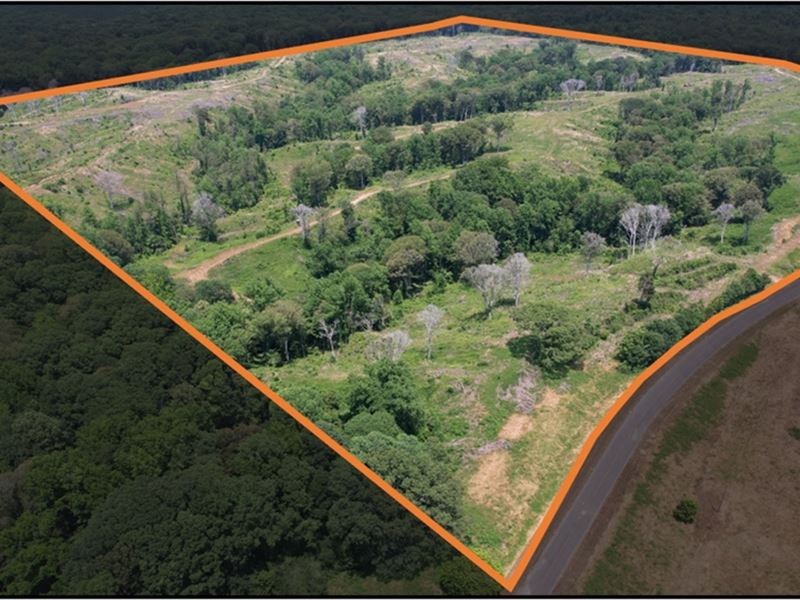 159.1 Acres in Holmes County in Lex : Lexington : Holmes County : Mississippi