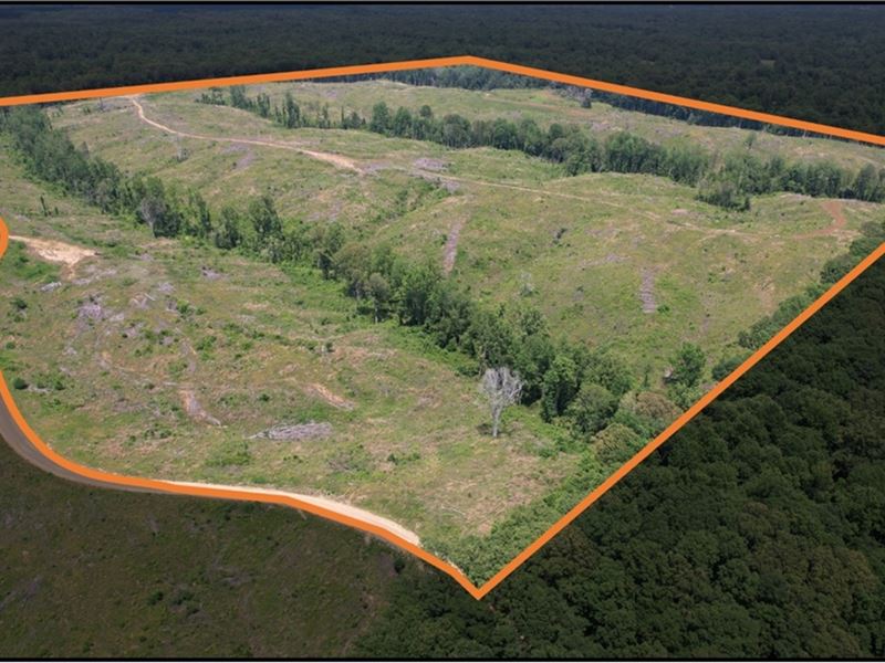 127.6 Acres in Holmes County in Lex : Lexington : Holmes County : Mississippi
