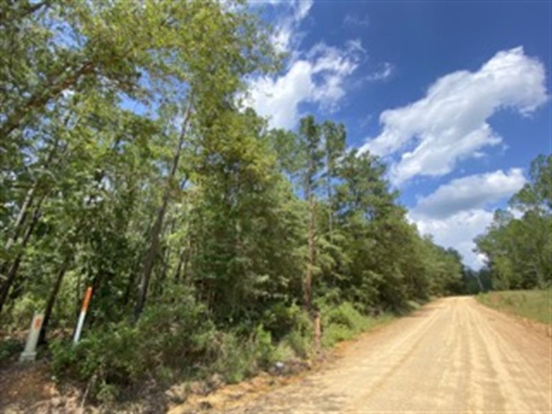 Barlow Road Property : Millry : Washington County : Alabama