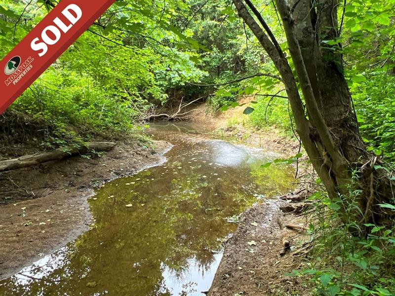 SR 278, 10 Acres, Vinton County : Zaleski : Vinton County : Ohio
