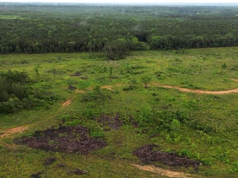 90 Acres in Choctaw County in Frenc : French Camp : Choctaw County : Mississippi