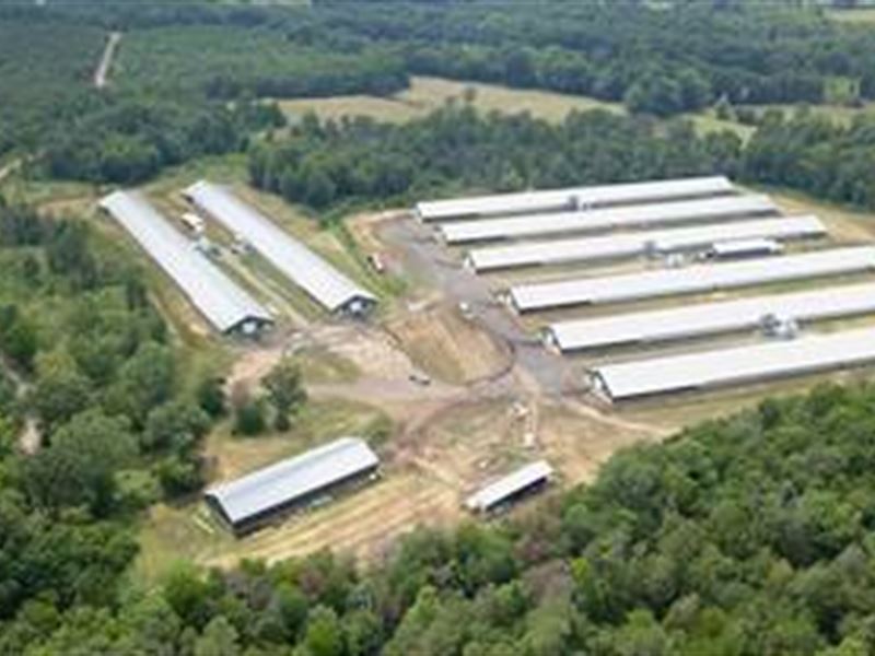 Custom Built Broiler Farm : Boles : Scott County : Arkansas