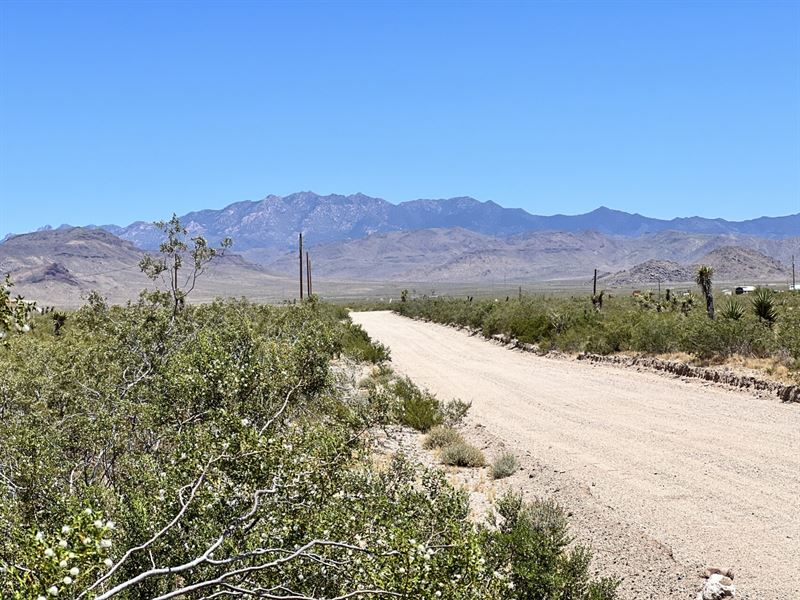 Perfect Spot to Your Desert Getaway : Golden Valley : Mohave County : Arizona