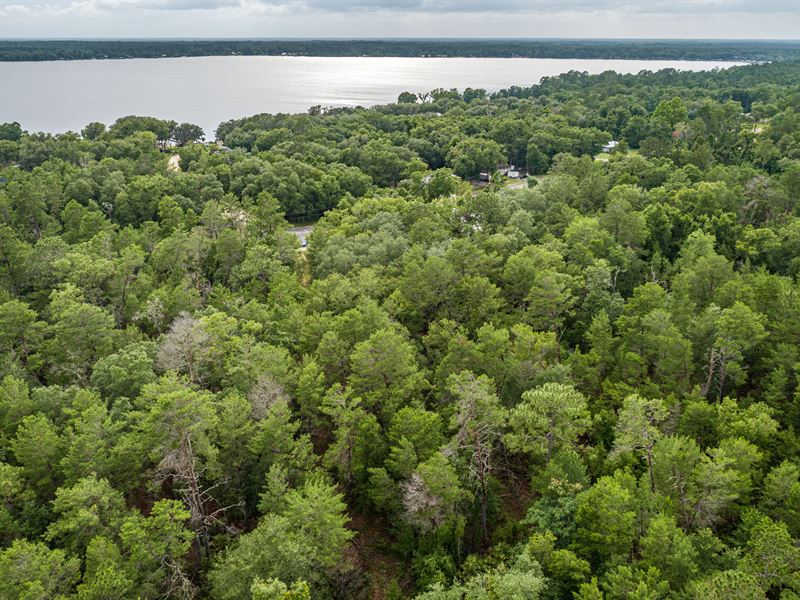 Paradise, 0.17 Ac in Lakeside Hills : Florahome : Putnam County : Florida