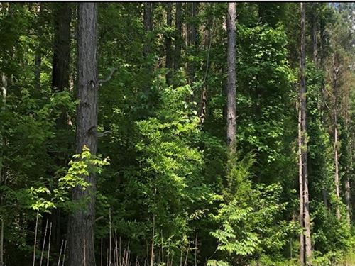 198.4 Acres in Holmes County in Lex : Lexington : Holmes County : Mississippi