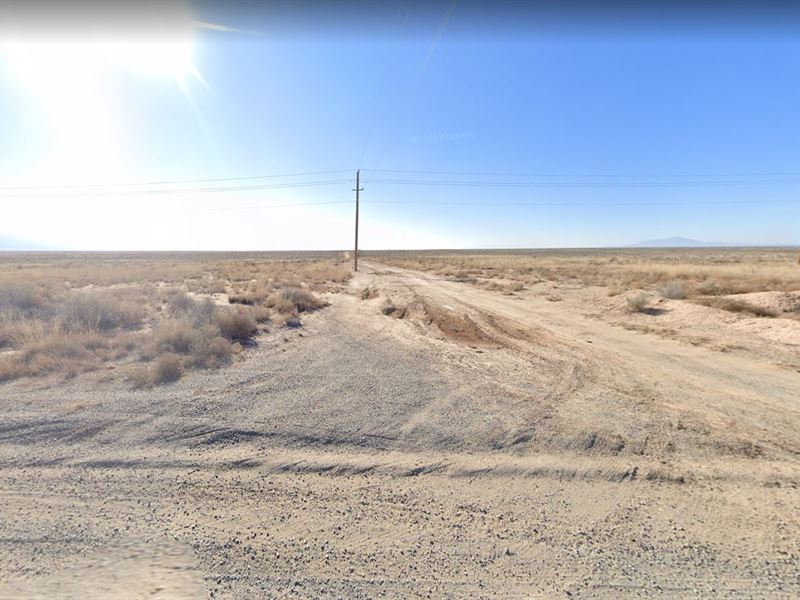 Affordable 0.27 Acre Property in NM : New Mexico : Valencia County : New Mexico