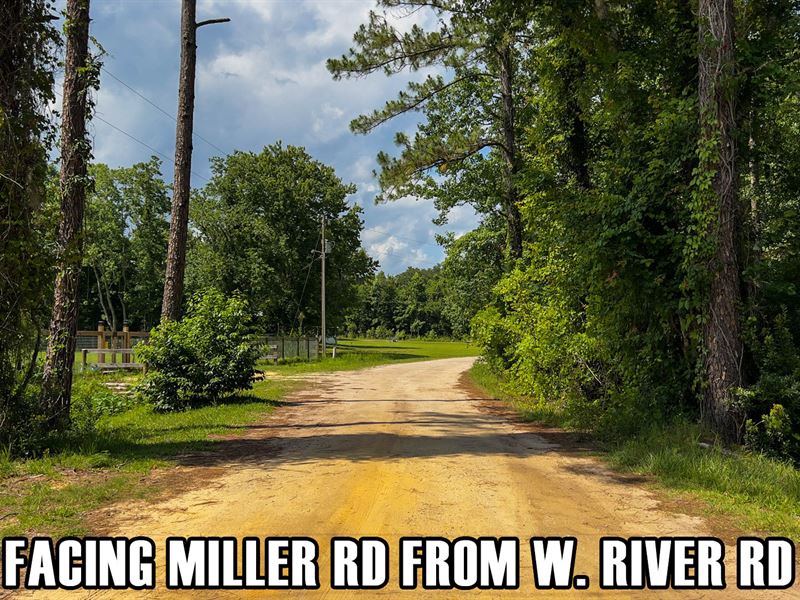 2.25 Acres Owner Finance, Palatka : Palatka : Putnam County : Florida
