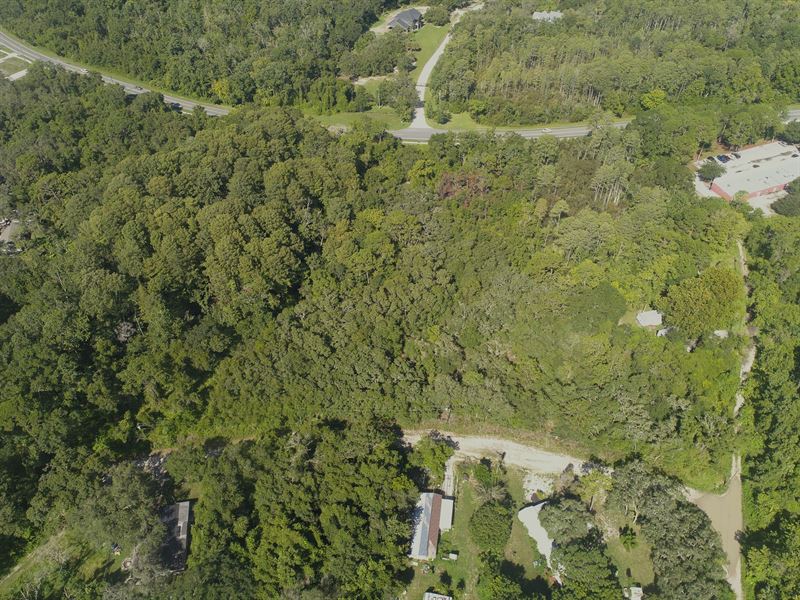 Corner Lot with Power : New Port Richey : Pasco County : Florida