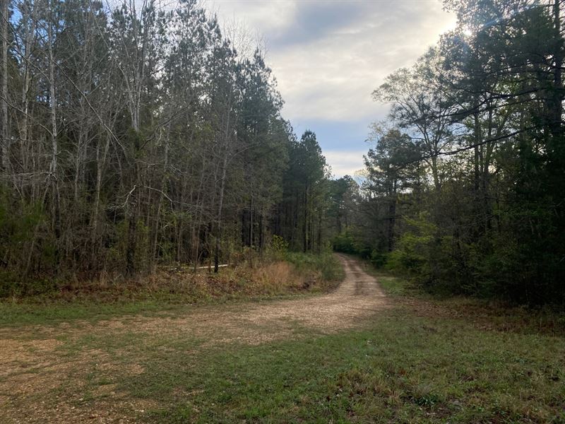 179 Acres in Pearl, MS in Rankin Co : Pearl : Rankin County : Mississippi