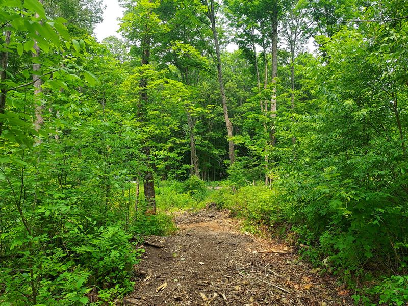 3.2 Acres Near Lakes & Trails : Crandon : Forest County : Wisconsin
