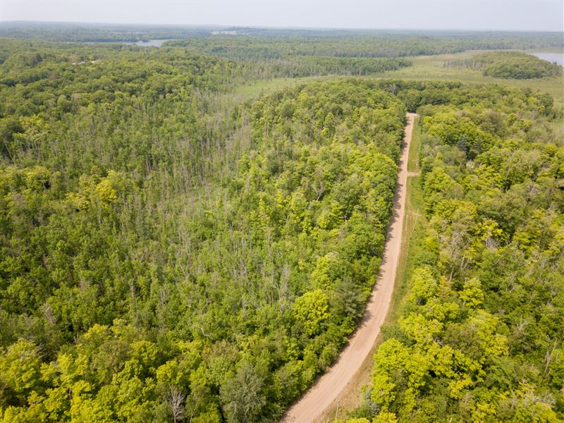 2.23 Acre Wooded Lot with Power : Brainerd : Crow Wing County : Minnesota