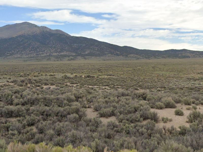 Direct Road Access to The River : Elko : Elko County : Nevada