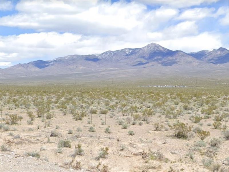 It's Your Lucky Day : Pahrump : Nye County : Nevada