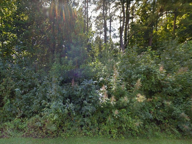Tranquil 2.32 Acre Lot : Bradley : Greenwood County : South Carolina