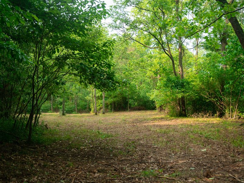 Jackson County, Ohio Land : Ray : Jackson County : Ohio