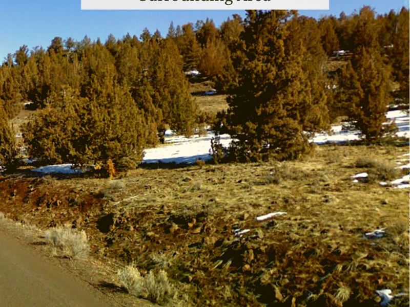 1.02 Acres Only $1 Down, $199/Mo : Alturas : Modoc County : California
