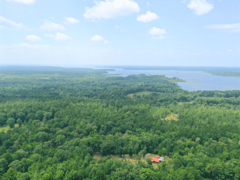 1.54 Ac Near Sam Rayburn Lake : Bronson : San Augustine County : Texas
