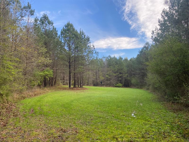 111 Acres in Rankin County, MS : Pearl : Rankin County : Mississippi