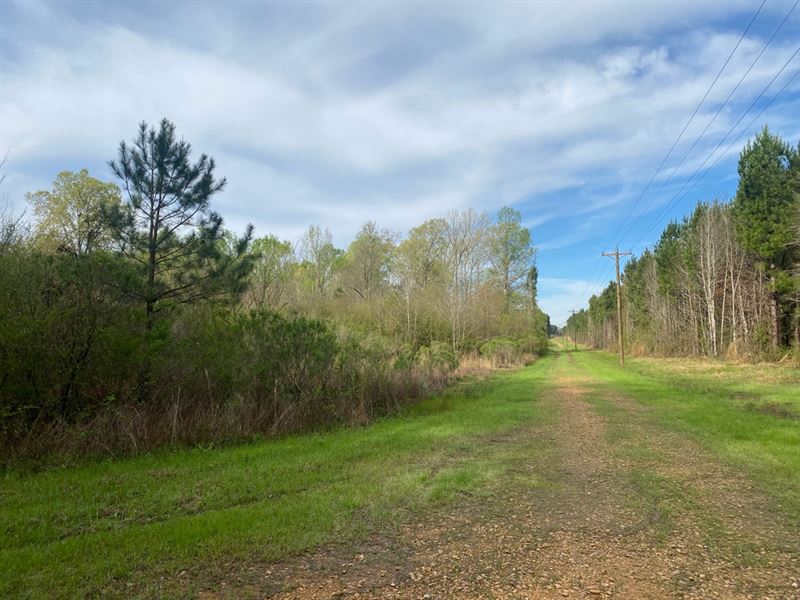 123 Acre Recreational Timberland Tr : Pearl : Rankin County : Mississippi