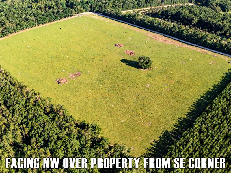 33 Ac, Well, Pasture, Power Pole : Bell : Gilchrist County : Florida