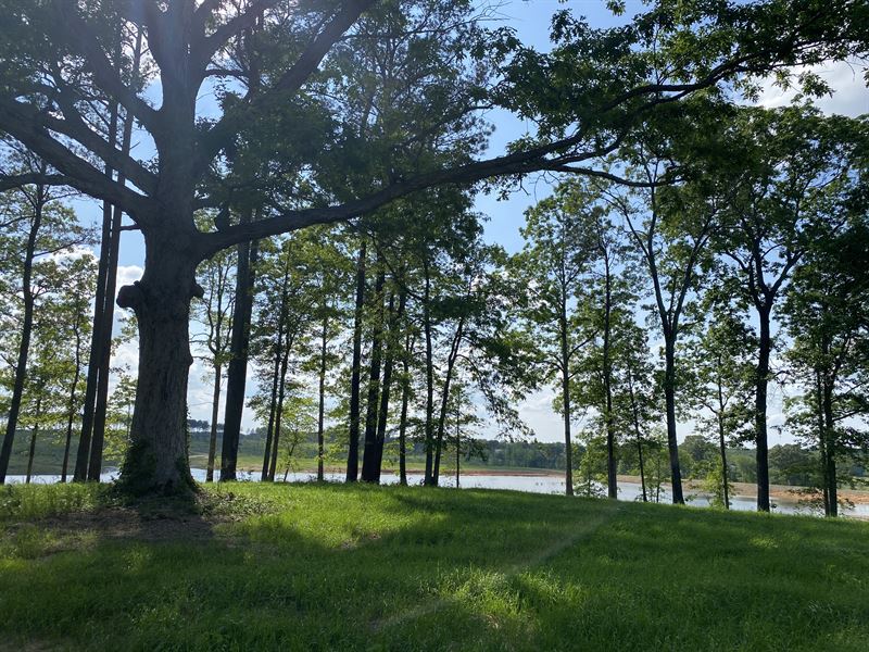 Lakefront Land for Sale in Tn, 4 Ac : Bethel Springs : McNairy County : Tennessee