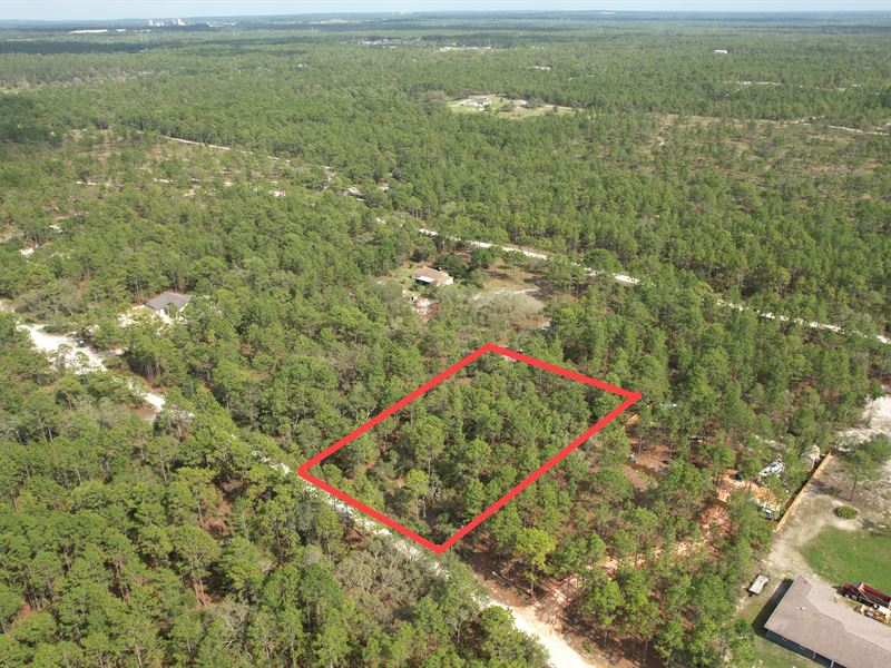 12008 Thames Ave, Weeki Wachee, FL : Weeki Wachee : Hernando County : Florida