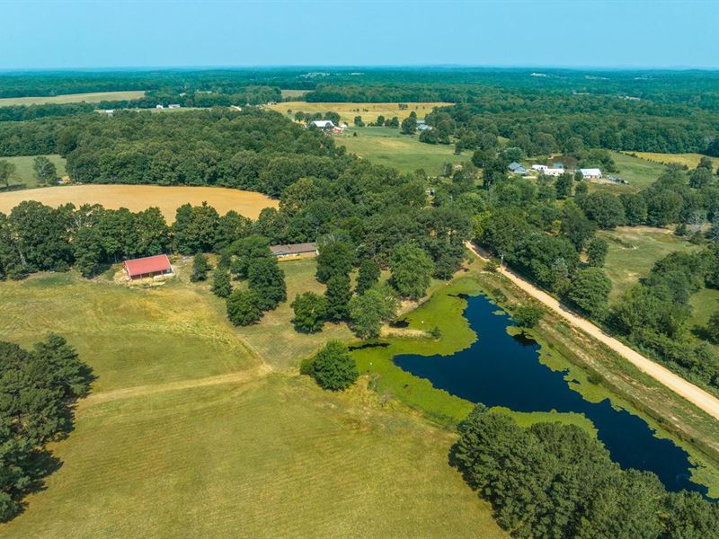 Lake and Acres Homestead : Glen Allen : Bollinger County : Missouri