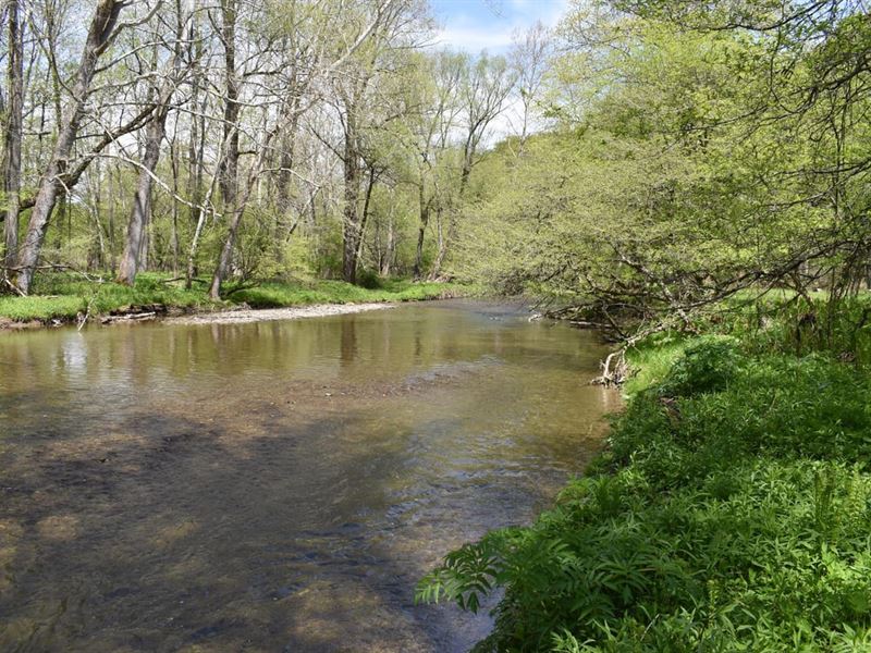 Wiscoy Fish & Farm : Portageville : Wyoming County : New York