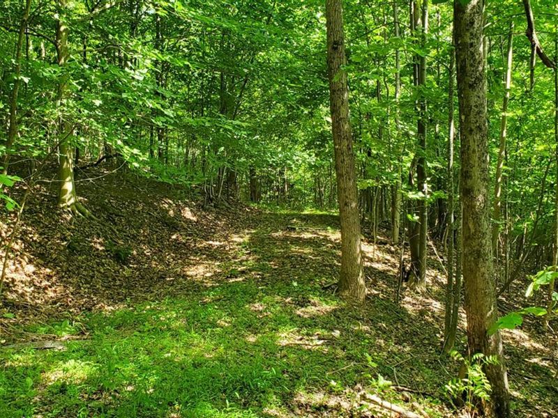 25.48 Acres Off Alfred Hartley : Lenoir : Caldwell County : North Carolina