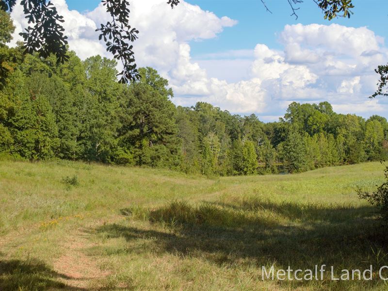 5 Acre Tract in Campobello, Pond : Campobello : Spartanburg County : South Carolina