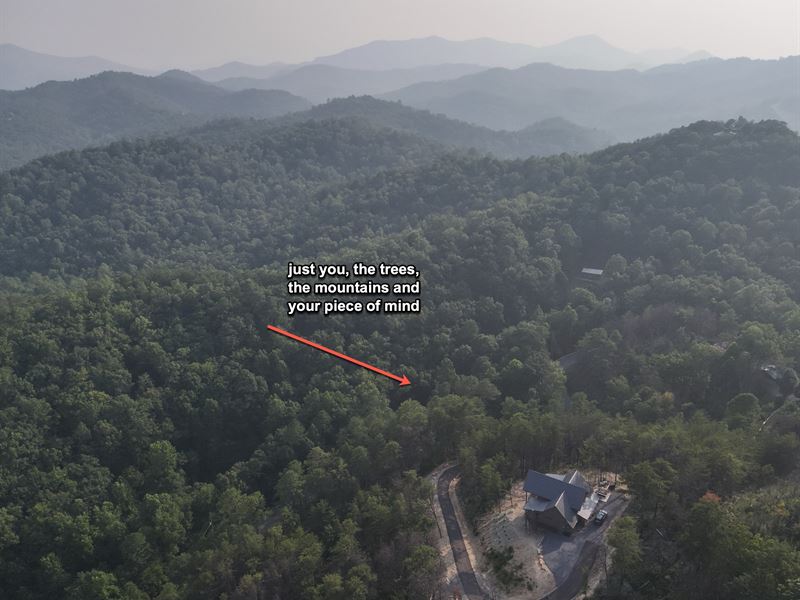 Mountain Views Prime Investment Opp : Sevierville : Sevier County : Tennessee