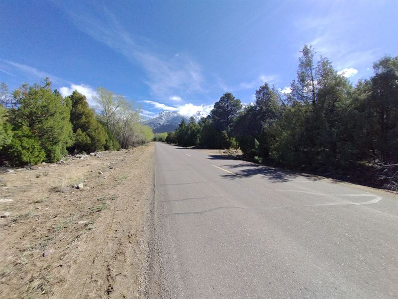 Half Acre Wooded Lot with Utilities : Crestone : Saguache County : Colorado