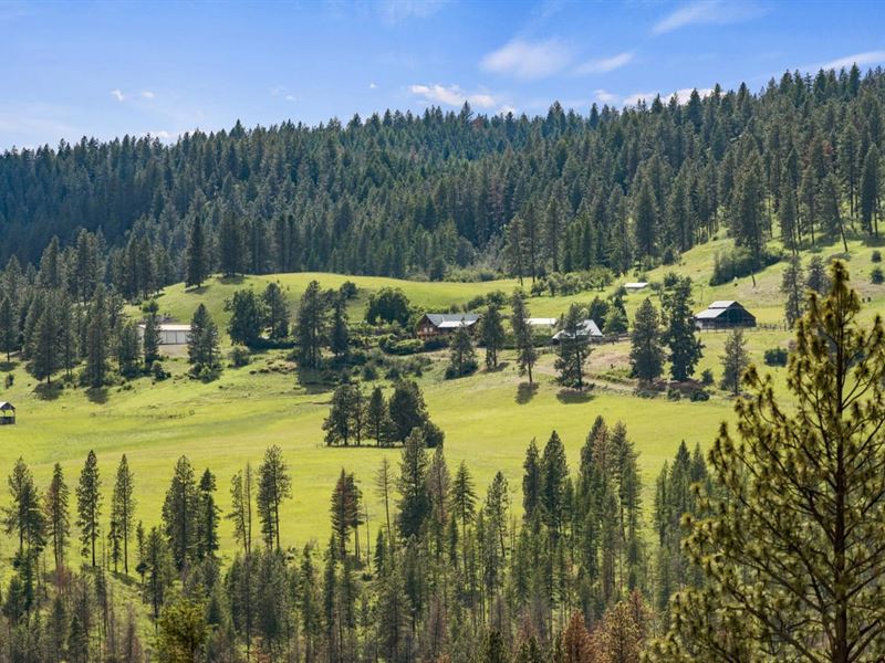 Eden Bench Ranch : Troy : Wallowa County : Oregon