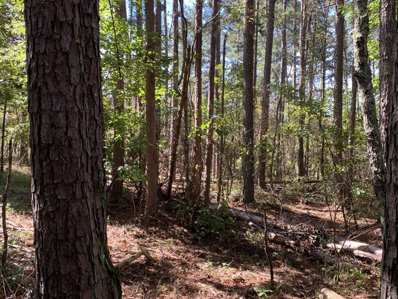 Lookout Mountain Mini-Farm : Gadsden : Etowah County : Alabama