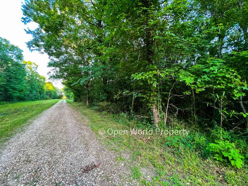 Walk to Trinity River and Refuge : Hardin : Liberty County : Texas