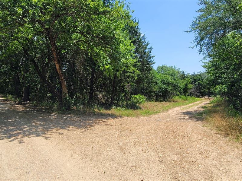 Joslin Valley Tract D : Snow : Pushmataha County : Oklahoma