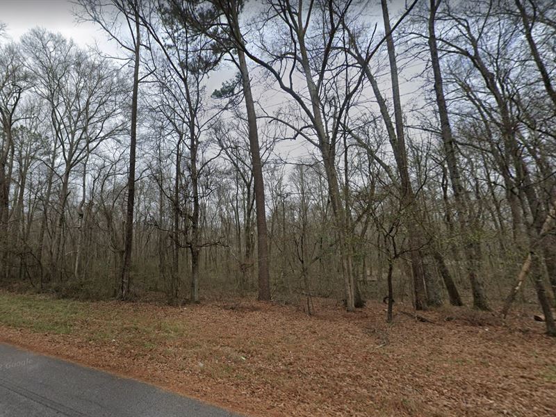 .43 Ac for Sale in Stockbridge, GA : Stockbridge : Henry County : Georgia