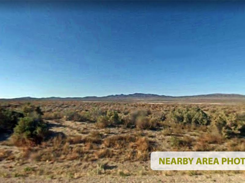 The World is Yours to Explore : Montello : Elko County : Nevada